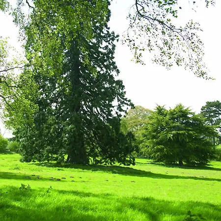 Woodland Grange-2